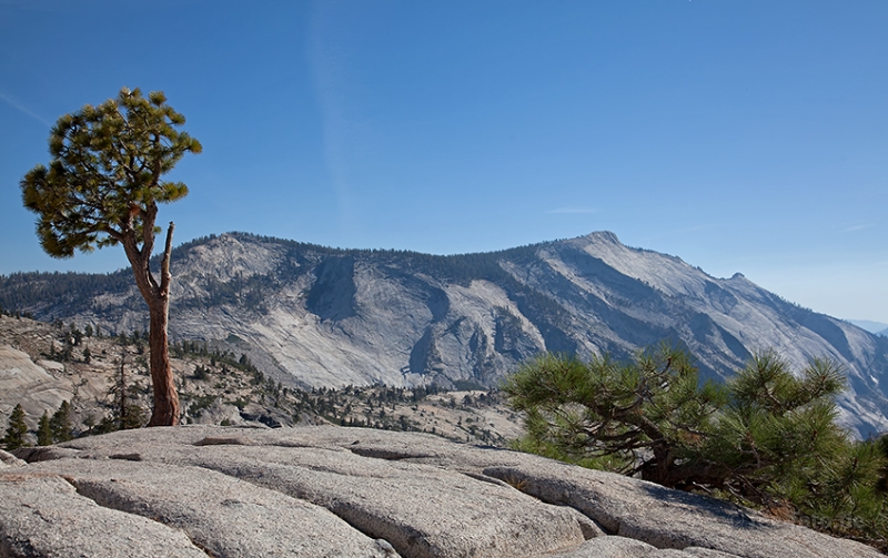 Tioga Pass Ausblick